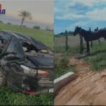 Comandante da Guarda Municipal de Serra do Ramalho capota carro após desviar de animal na pista