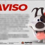 Aumento de casos de Leishmaniose preocupa Vigilância Epidemiológica  de Malhada e gera alerta à população