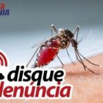 Após infestação do mosquito da dengue, Vigilância Epidemiológica divulga Disk Denúncia em Carinhanha