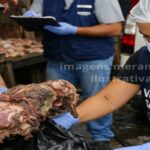 Polícia Militar e Vigilância apreendem quase 30 kg de carne estragada em cidade do sudoeste da Bahia