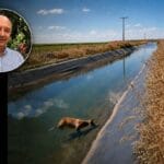 Fazenda do oeste da Bahia ligada a José Fava Neto volta ao centro de polêmica ambiental