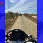 Motociclista relata ter se deparado com onça em estrada na zona rural de Malhada
