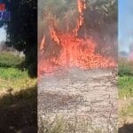 Incêndio de grandes proporções consome vegetação na zona rural de Malhada e aterroriza moradores