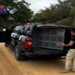 Investigado por estupro de vulnerável é preso durante operação da Polícia Civil em Malhada