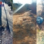 Moradores cobram recuperação urgente de estrada de povoado esquecido na divisa entre Carinhanha e Feira da Mata