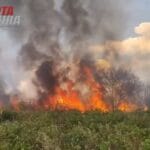 Incêndio provocado por morador atinge mais cinco propriedades no povoado de Água Ruim em Carinhanha e gera revolta; Assita