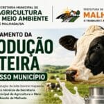 Malhada produz mais de 13 milhões de litros de leite por ano, aponta levantamento da Secretaria de Agricultura