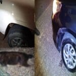 Guanambi, Palmas e Sebastião Laranjeiras: 17º BPM registra acidentes, furtos e outras ocorrências