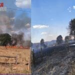 Incêndio vem destruindo propriedades e já devasta cerca de 50 hectares em Cocos; populares pedem providências