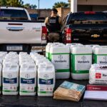 Polícia Militar relata tentativa de suborno de R$ 50 mil durante apreensão de insumos agrícolas em Carinhanha
